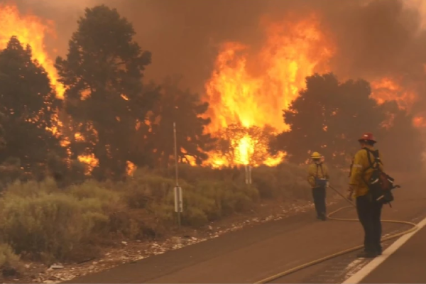 Wilfire in Writewood, California explodes to 775 acres