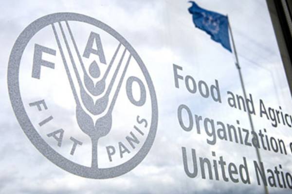 FAO, NCC present revised national codex for standard food