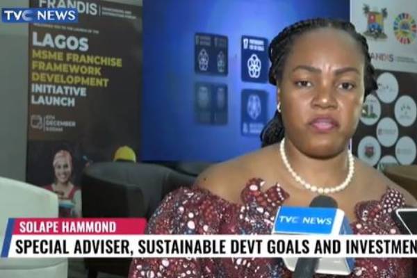 Lagos launches franchise framework development initiative for MSMES