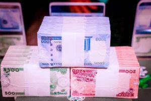 NEW NAIRA NOTES NEED AWARENESS FOR ACCEPTABILITY - ECONOMIST