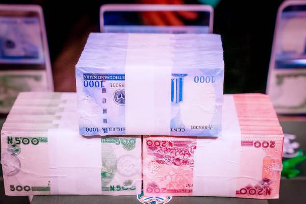 NEW NAIRA NOTES NEED AWARENESS FOR ACCEPTABILITY - ECONOMIST