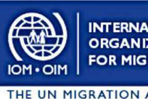 IOM RESETTLES OVER A THOUSAND DISOPLACED PERSONS IN BORNO