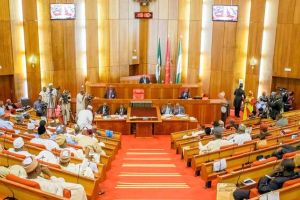 SENATE APPROVES N819.5 BILLION AS SUPPLEMENTARY BUDGET FOR 2022