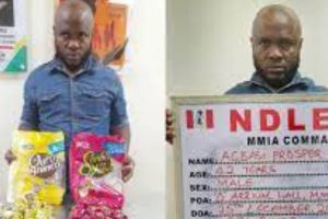 Brazil returnee arrested with 105 parcels of cocaine in candies on Christmas Day . As NDLEA nabs 3 traffickers with 256kgs illicit drugs in Kwara, Kogi, Niger