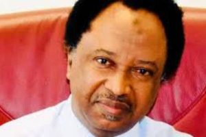 OUTCOME OF PRESIDENTIAL ELECTION CRUCIAL TO OTHER ELECTIONS - SHEU SANNI
