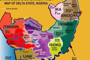 INEC ANNOUNCES LABOUR WINNER OF DELTA PRESIDENTIAL ELECTION